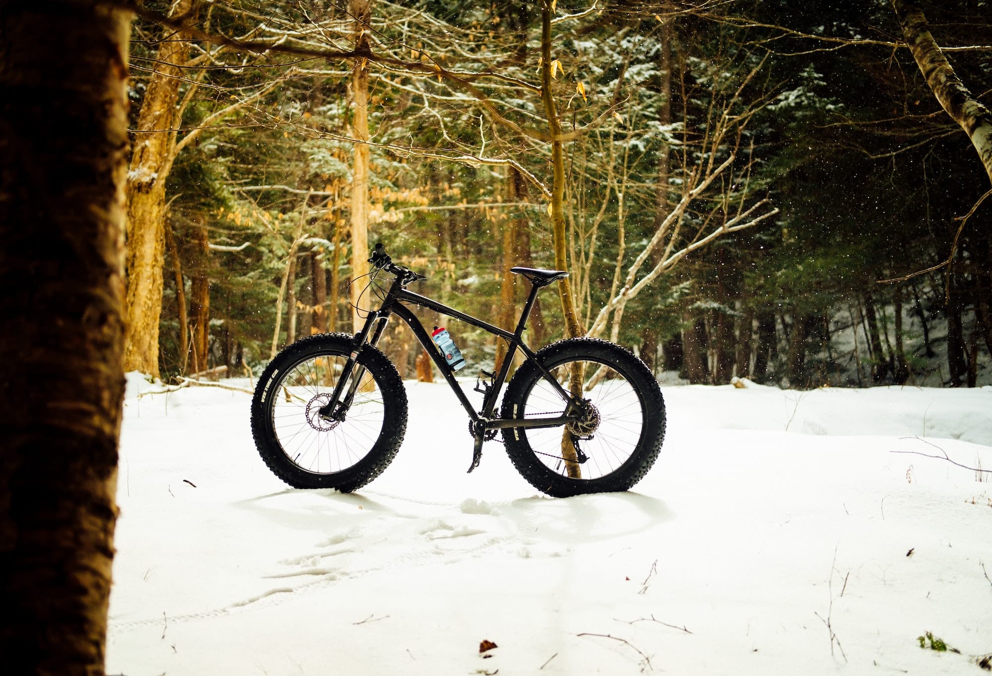 how to choose fat tire bikes